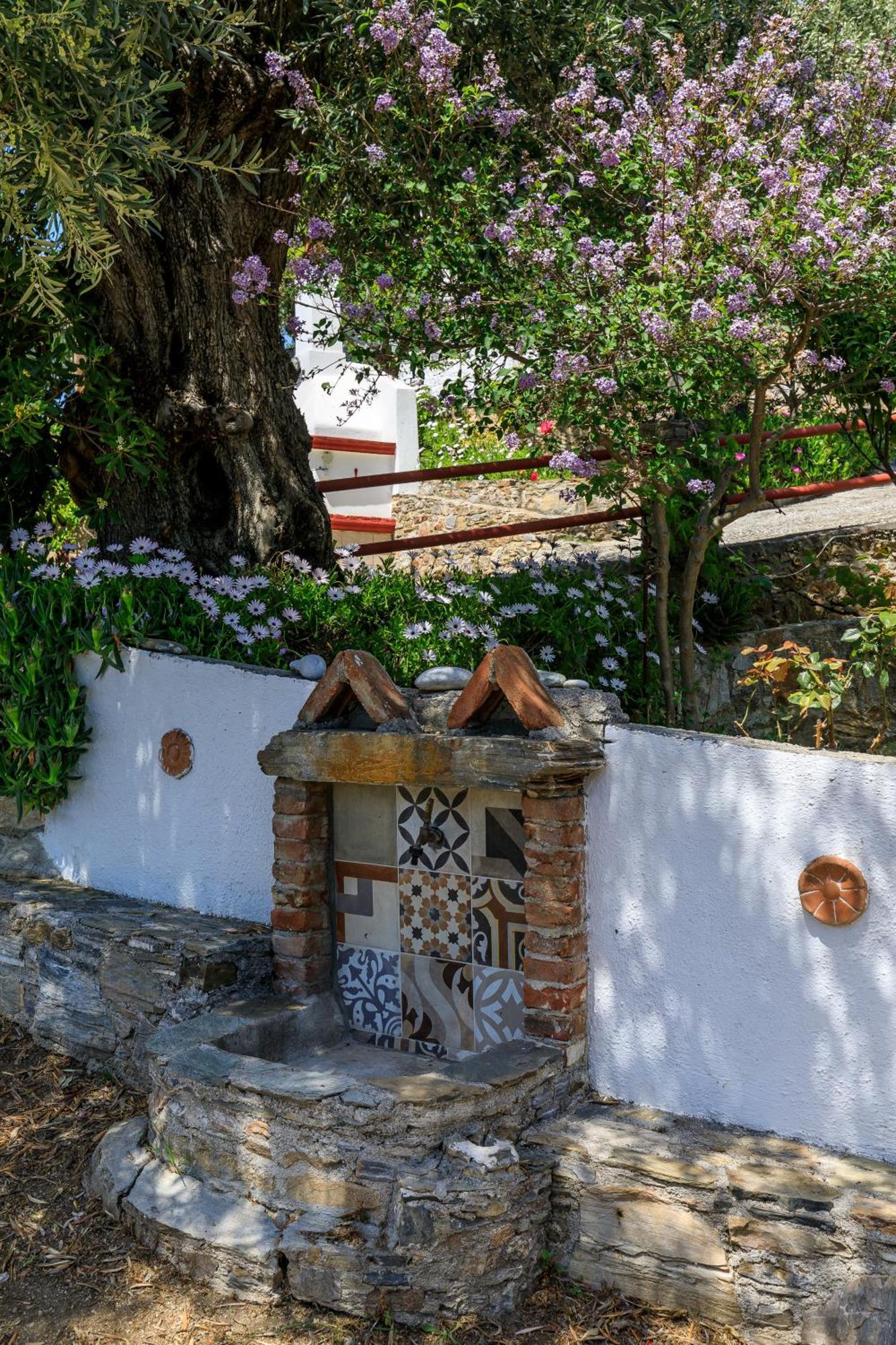Villa Agia Marina سكوبيلوس تاون المظهر الخارجي الصورة